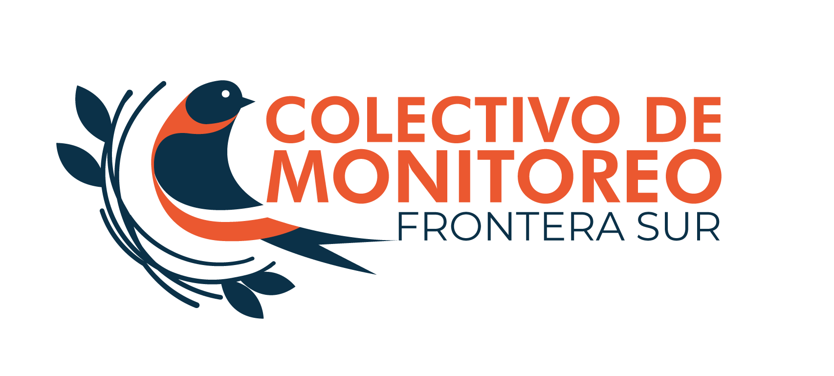 COMUNICADOEn riesgo la vida y la seguridad de personas migrantes y con necesidades de protección internacional en el campamento Viva México